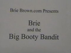 Brie Brown and the Big Gazoo Bandit